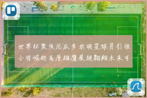 世界杯聚焦厄瓜多尔明星球员引领小将崛起高原雄鹰展翅翱翔未来可期
